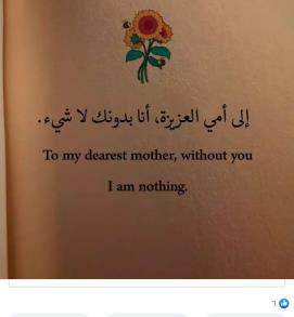 Alawia hassan ahmed